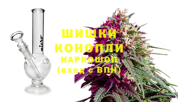 прущие крисы Приозерск