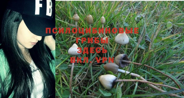 ALPHA-PVP Яранск