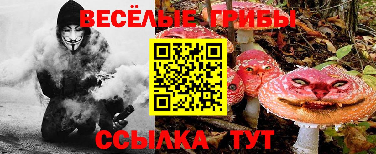 Галлюциногенные грибы мицелий  купить  цена  Краснодар 