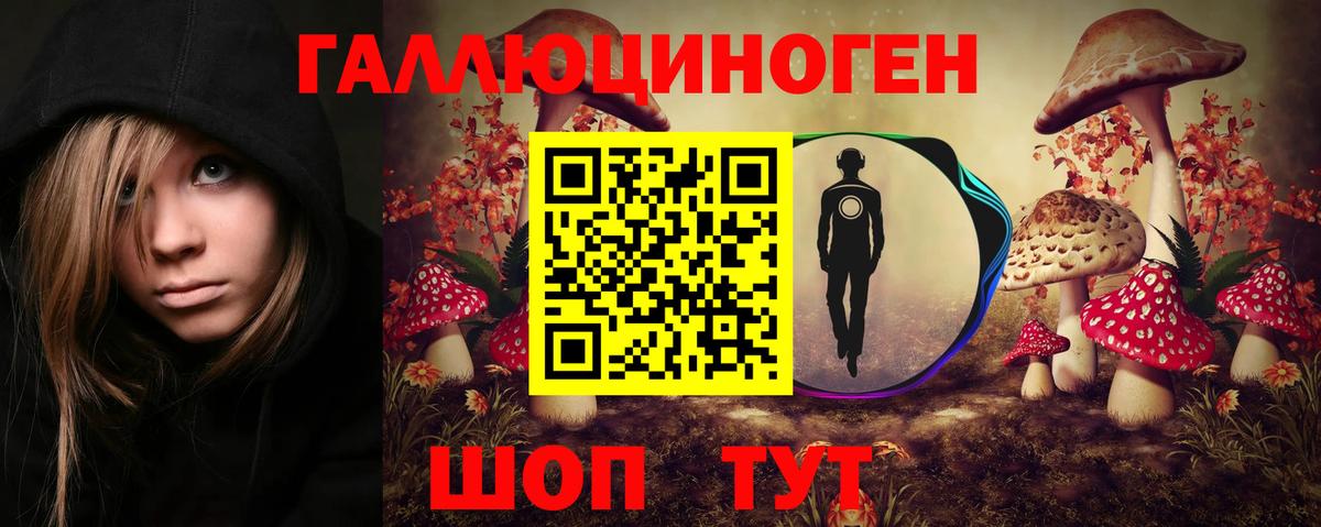 Галлюциногенные грибы Psilocybine cubensis  Вход с VPN  Краснодар  Псилоцибиновые грибы прущие грибы 