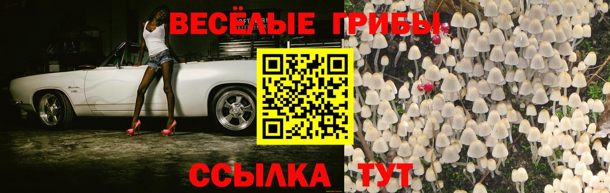 Галлюциногенные грибы ЛСД Краснодар