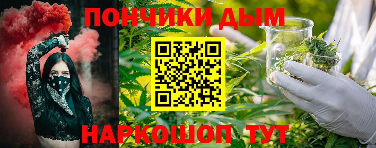 Бошки марихуана VHQ  Канабис ГИДРОПОН  Краснодар  Бошки Шишки Amnesia 